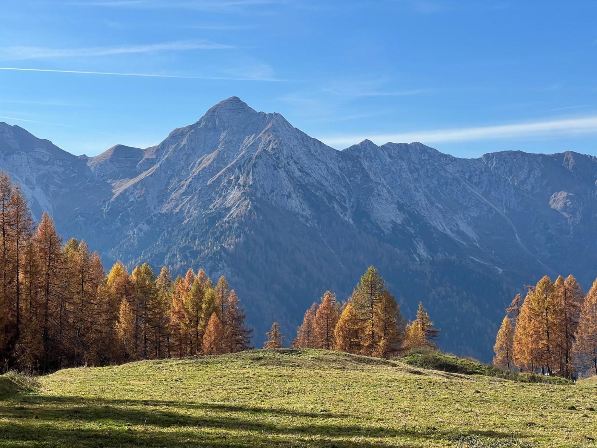 Botep Ai Tigli Bed and Breakfast San Pellegrino Terme Exteriör bild